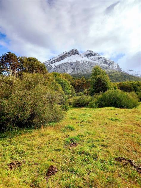 Landscape of Green Meadow Next To Andes Mountain Range of Tierra Del ...