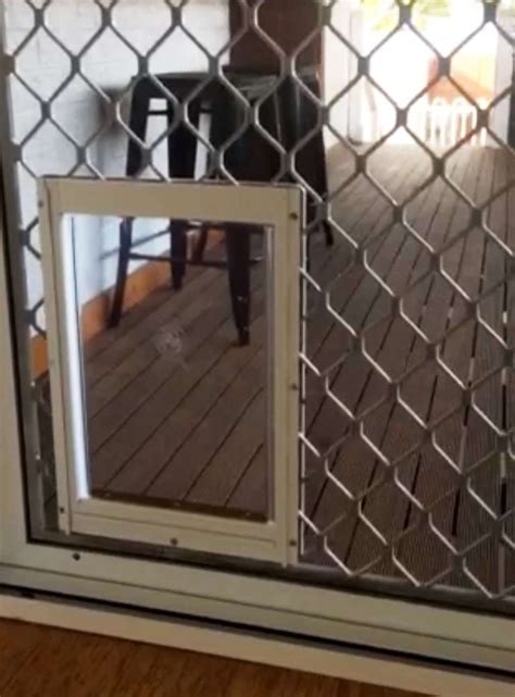 Install a Screen Door with a Dog Door:How to Guide - Sydney Wide Pet Doors