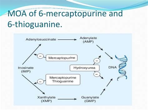 Antimetabolites in cancer chemotherapy