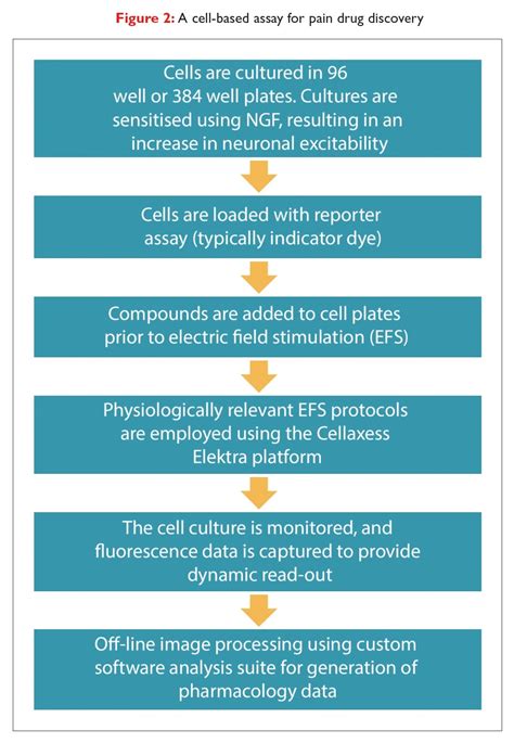 The Development of Cell-Based Assays For Pain Drug Discovery - Drug Discovery World (DDW)