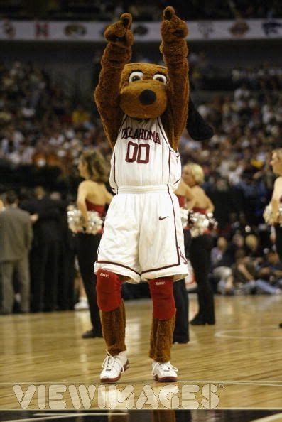 OU - Top Daug was a dog mascot for the University of Oklahoma Sooners basketball team. Back in ...