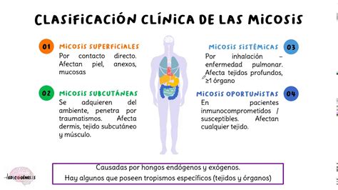 Generalidades de micología - YouTube