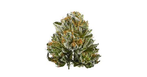 Bubba Kush aka BK, Bubba, Bubba OG Kush Weed Strain Information | Leafly