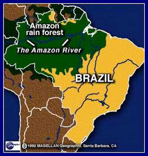 Posts about and safeguarding ecosystems outside the Amazon rainforest ...