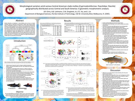 Collection Design Scientific Poster - chatorioles