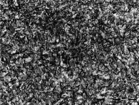 White Cast Iron Microstructure