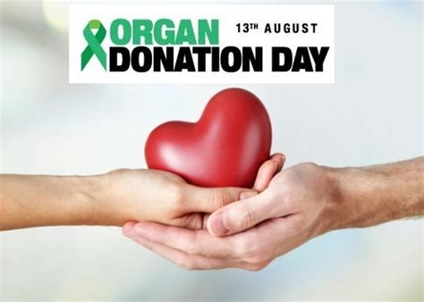 Organ Donation Day 2020 - Important Date, History, Importance of Organ Donation, Facts & Quotes