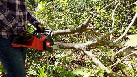 How to use a chainsaw safely | Battery powered chainsaw, Storm preparedness, Hurricane supplies