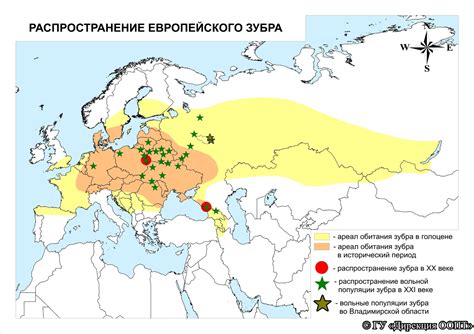 Distribution of European bison · iNaturalist