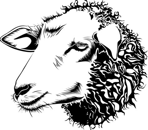 Head clipart sheep, Head sheep Transparent FREE for download on ...