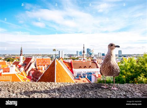 Tallinn old town Stock Photo - Alamy