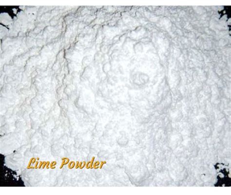 Quick Lime Powder at Rs 3,600 / MTS in Durg | Adarsh Enterprises