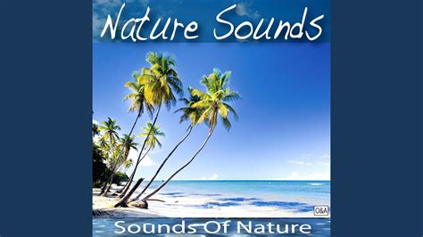 Calming Nature Sounds - YouTube