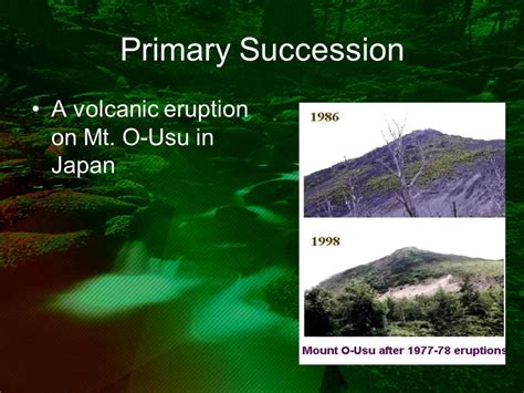 Primary Succession After Volcano Eruption