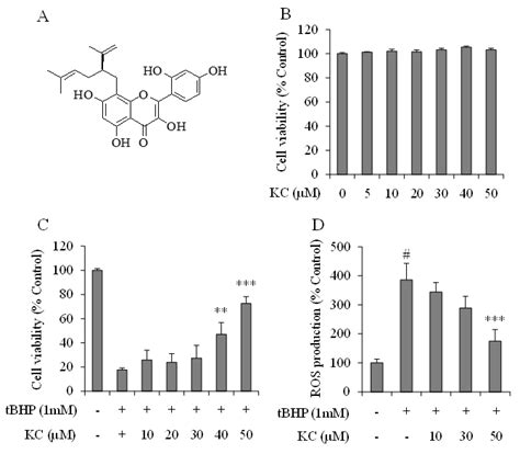 Molecules | Free Full-Text | Kushenol C Prevents Tert-Butyl Hydroperoxide and Acetaminophen ...