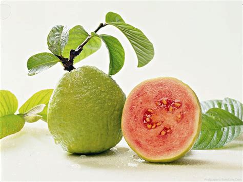 Guava - Inexpensive Healthiest Fruit from Nature - Healthyliving from Nature - Buy Online