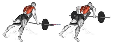 Barbell Reverse Grip Incline Bench Row - Home Gym Review