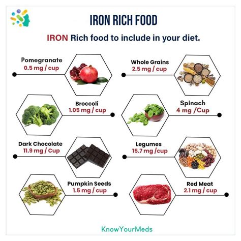 Iron rich food | Iron rich foods, Low white blood cells, Hemoglobin levels