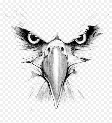 Eagle Png Logo - Eagle Face Tattoo Design, Transparent Png - 1000x984 ...