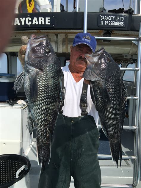 Black Sea Bass Fishing is Awesome in September and October! - MAKO II