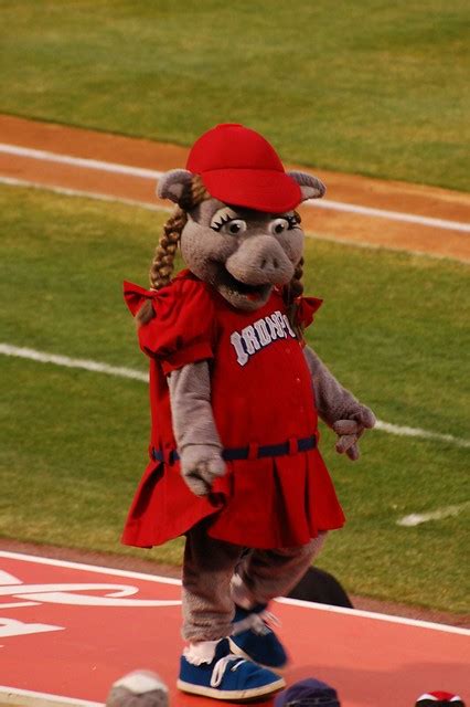 FeFe Ironpigs Female Mascot | Flickr - Photo Sharing!