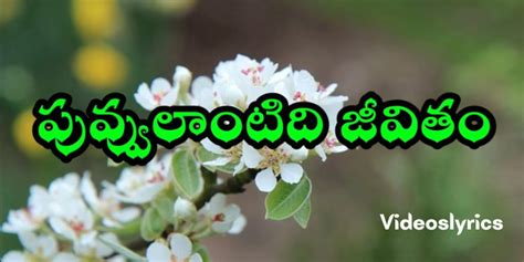 Puvvu lantidi jeevitham song lyrics - Videoslyrics