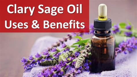 Clary Sage - Clary Sage Essential Oil Uses & Benefits