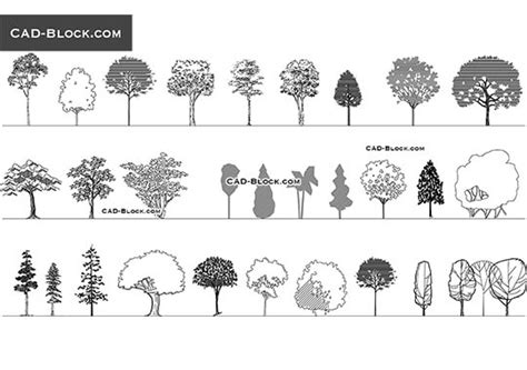 Trees Elevation View Cad Blocks Download Dwg File - Bank2home.com