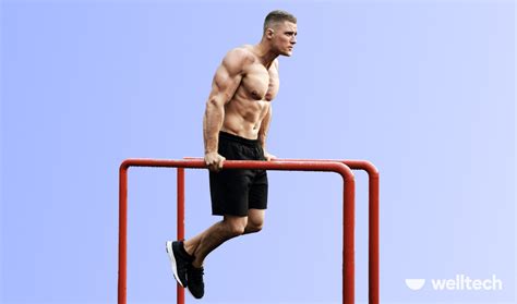 What Muscles Do Dips Work Most? Chest Dips, Tricep Dips & Variations - Welltech