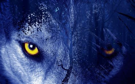 Wolf Eyes Wallpapers - Top Free Wolf Eyes Backgrounds - WallpaperAccess