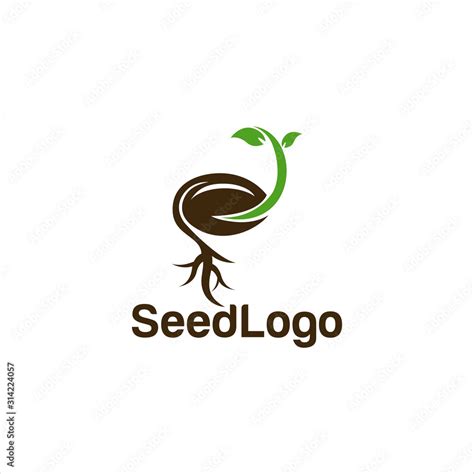 Growing Seed Logo Designs Vector Seed Stock Vector Stock Vector | Adobe ...