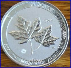 2020 Royal Canadian Mint Twin Maples 2 oz Silver Maple Leaf $10 Coin ...