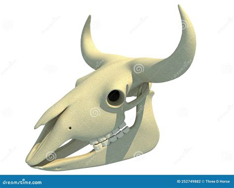 Bison Skull Anatomy 3D Rendering Stock Illustration - Illustration of ...