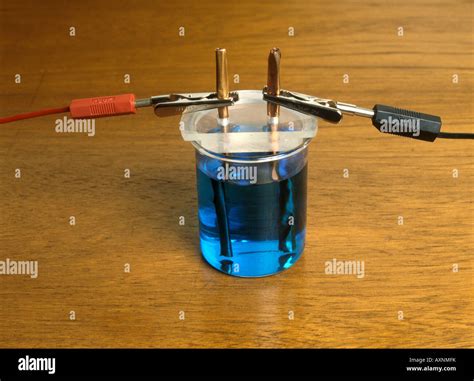 Electrolysis of copper sulphate solution using copper electrodes Stock ...