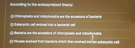 Solved According to the endosymbiont theory:Chloroplasts and | Chegg.com