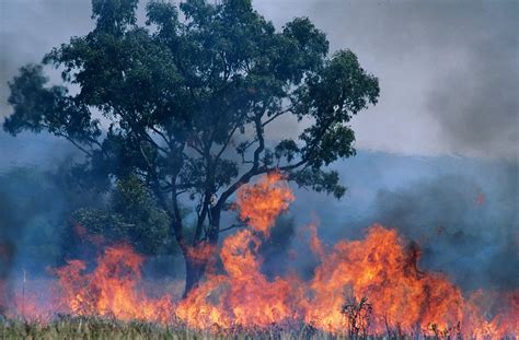 Australia Bush Fires Set to Continue - Travel Begins at 40