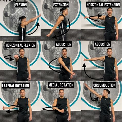 Anterior Deltoid Muscle Exercises