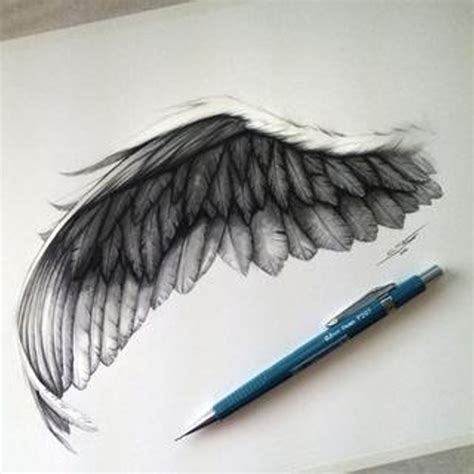 Wing Drawing | Christopher Straver on Patreon | Wings drawing, Angel ...