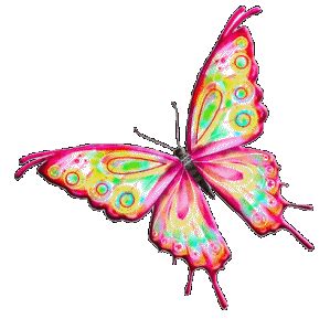 Butterfly Gif, Beautiful Butterflies, Animated Gif, Insects, Gifs, Animation, Novelty Christmas ...