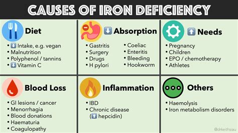 View Causes Of Fe Deficiency Anemia Pictures | The Best Porn Website