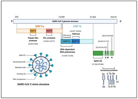 Pathogens | Free Full-Text | The Human Coronavirus Disease COVID-19: Its Origin, Characteristics ...