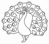 Peacocks coloring Pages  Free Coloring sketch template