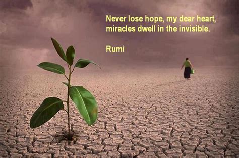 Rumi Quotes About Happiness. QuotesGram