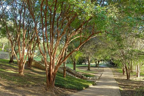 A History of Austin’s Famous Hike and Bike Trail, Which Wasn’t Always Green – TOWERS