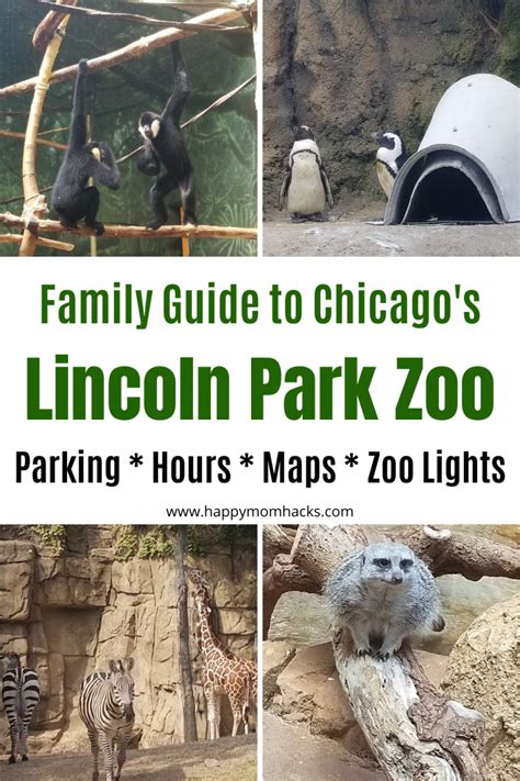 Lincoln Park Zoo Chicago -Parking, Hours, Map & Zoo Lights | Happy Mom ...