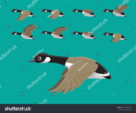 Canada Geese Flying Animation Sequence Cartoon Stock Vector (Royalty ...