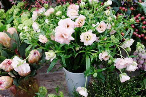Pink Flowers in White Ceramic Vase · Free Stock Photo