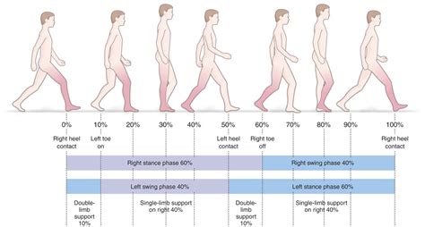 Describing Gait Patterns