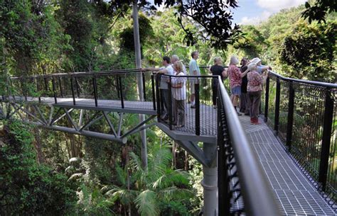 Mount Tamborine Skywalk - Qdesk Reservations