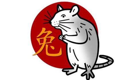 Rat Chinese zodiac sign traits: What it means to be a Rat | Express.co.uk